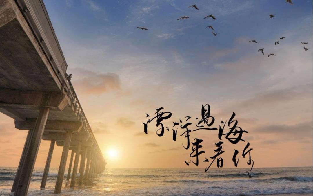 飘洋过海来看你