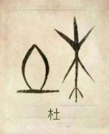 杜姓_百度百科