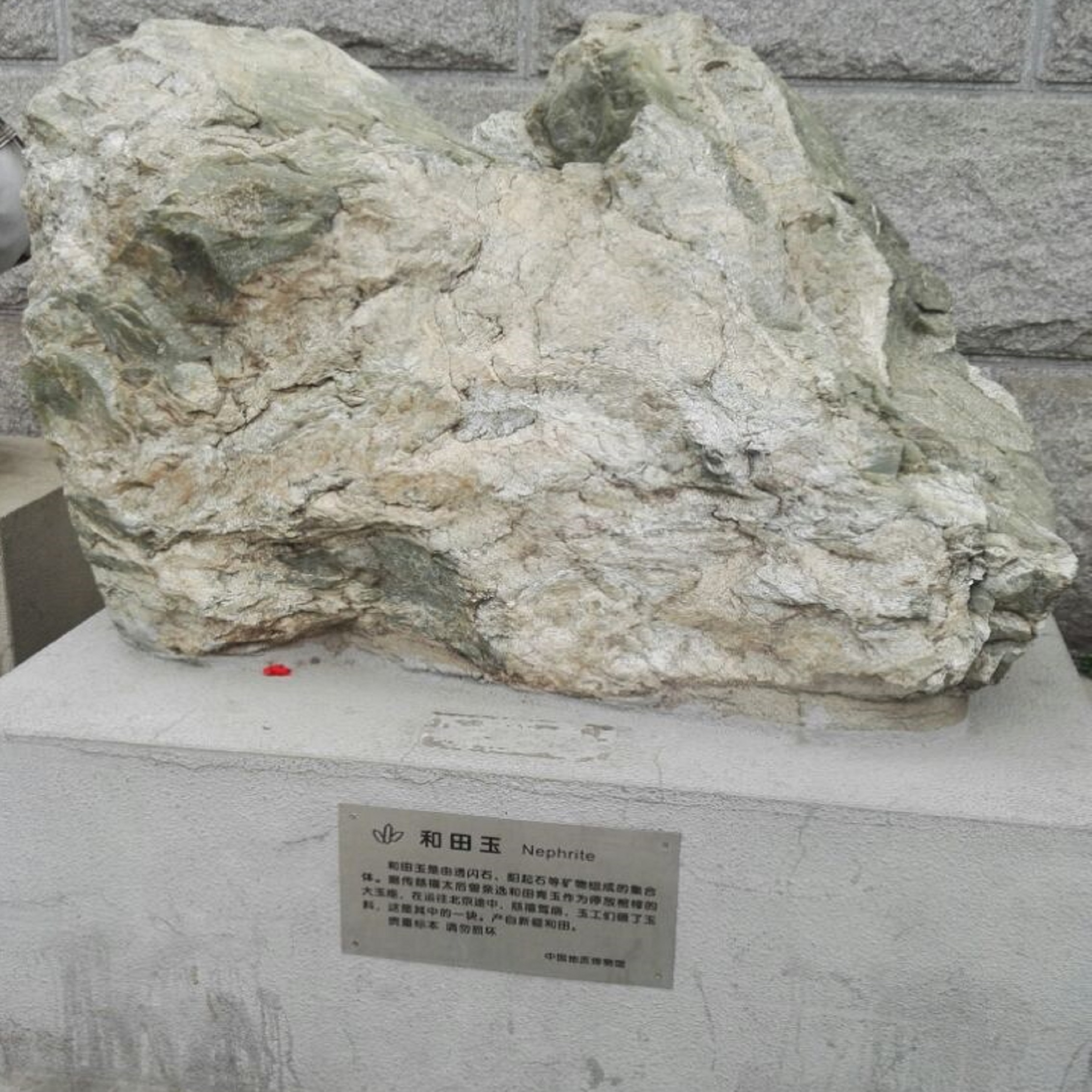 中国地质博物馆