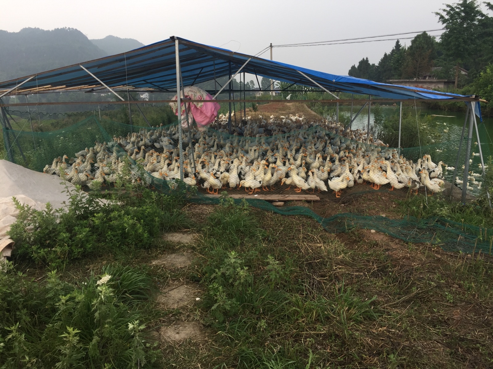  p data-id="gnhecycmx8">元山镇,隶属于四川省巴中市平昌县,地处平昌