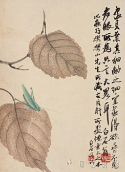 黄叶蟿螽
