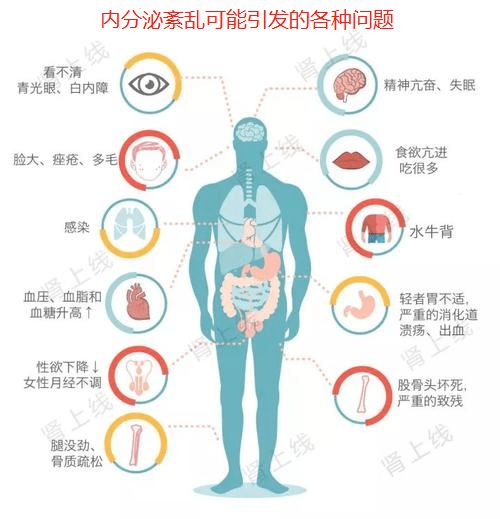健康的人体通过 a target="_blank" href="/item/内分泌系统/1663518"