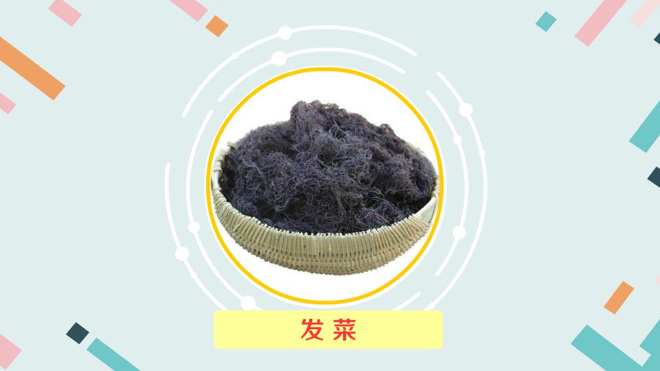 发菜：念珠藻科植物
