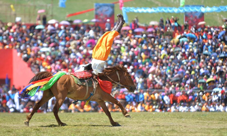  p>赛马会(玉树赛马会),青海省玉树藏族自治州传统体育竞技活动,国家