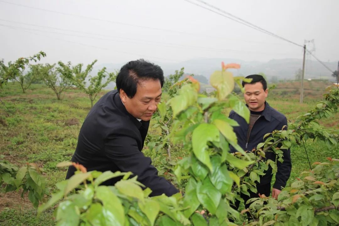  p>芦林街道,隶属江西省上饶市广丰区,地处广丰区城西部,东邻 a