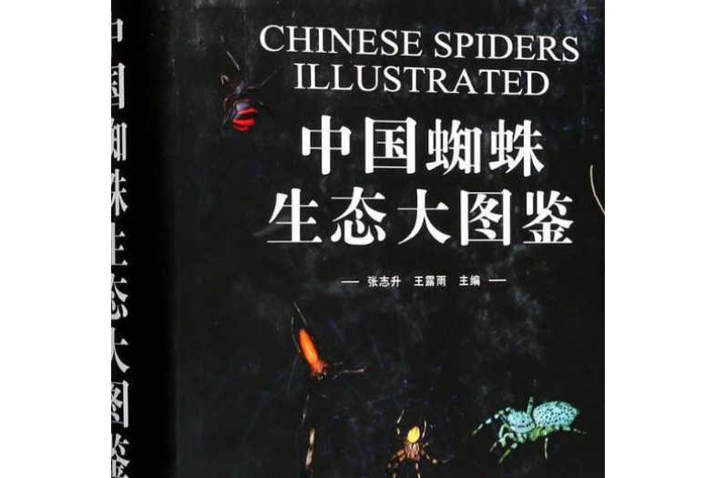 中国蜘蛛