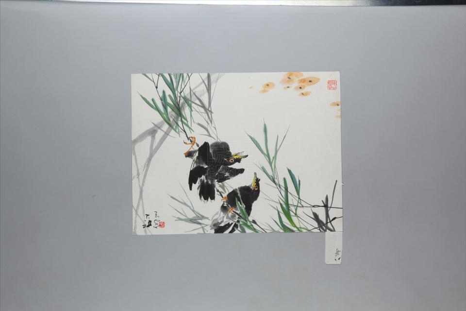 现代阎松父八哥图页