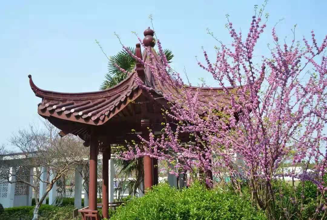 如皋市第二中学