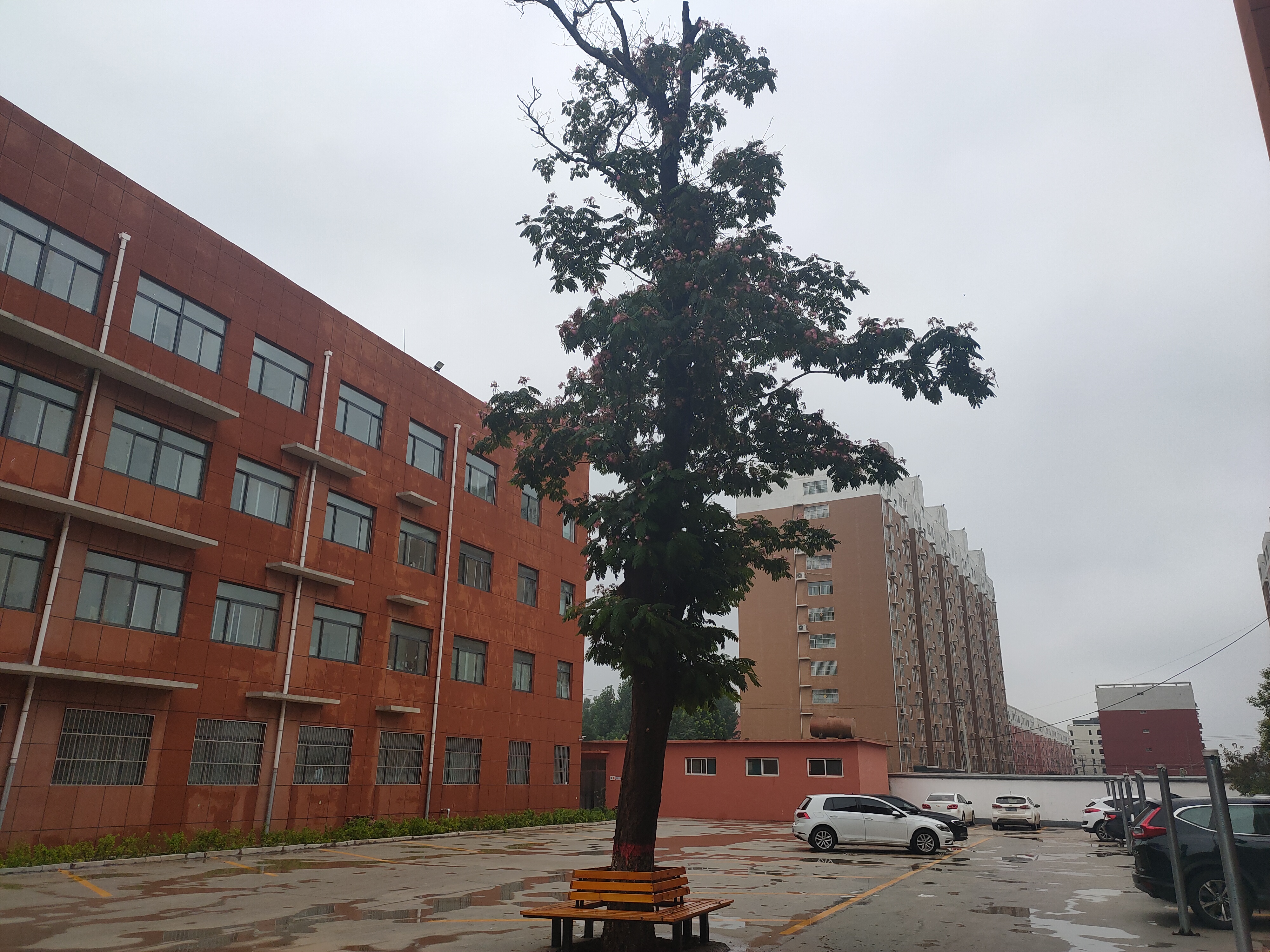  p>冠县东古城镇中学,始建于1969年,有着50多年的文化底蕴,学校位于