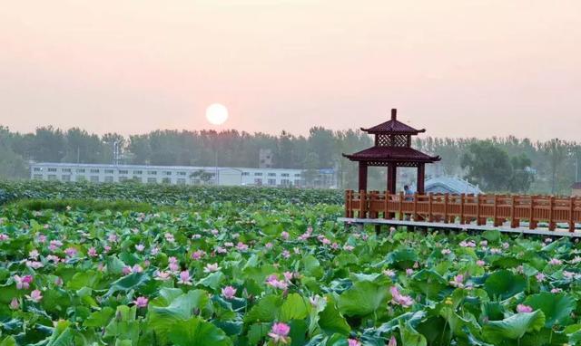  p data-id="gnb7sf9a20">阜南地城枫柏岗景区,位于安徽省阜阳市.