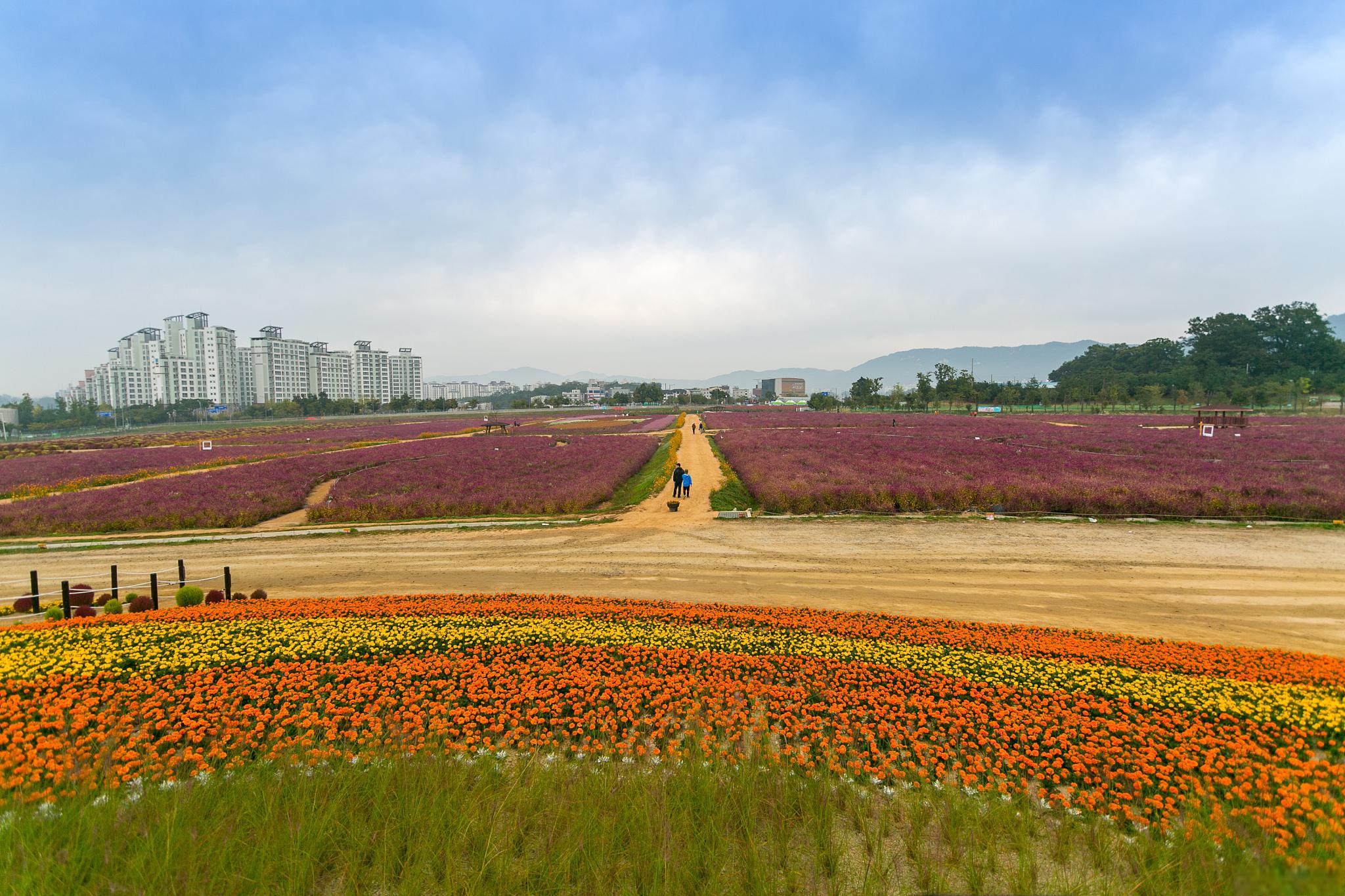 花田酒地旅游景区