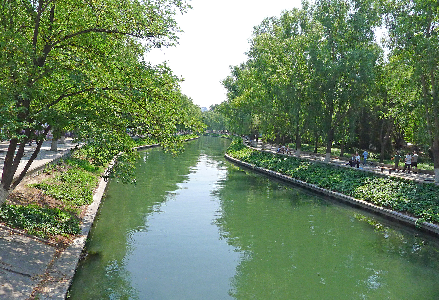 北京市大兴区榆垡镇永定河畔的万亩林中,是名副其实森林中的野生动物