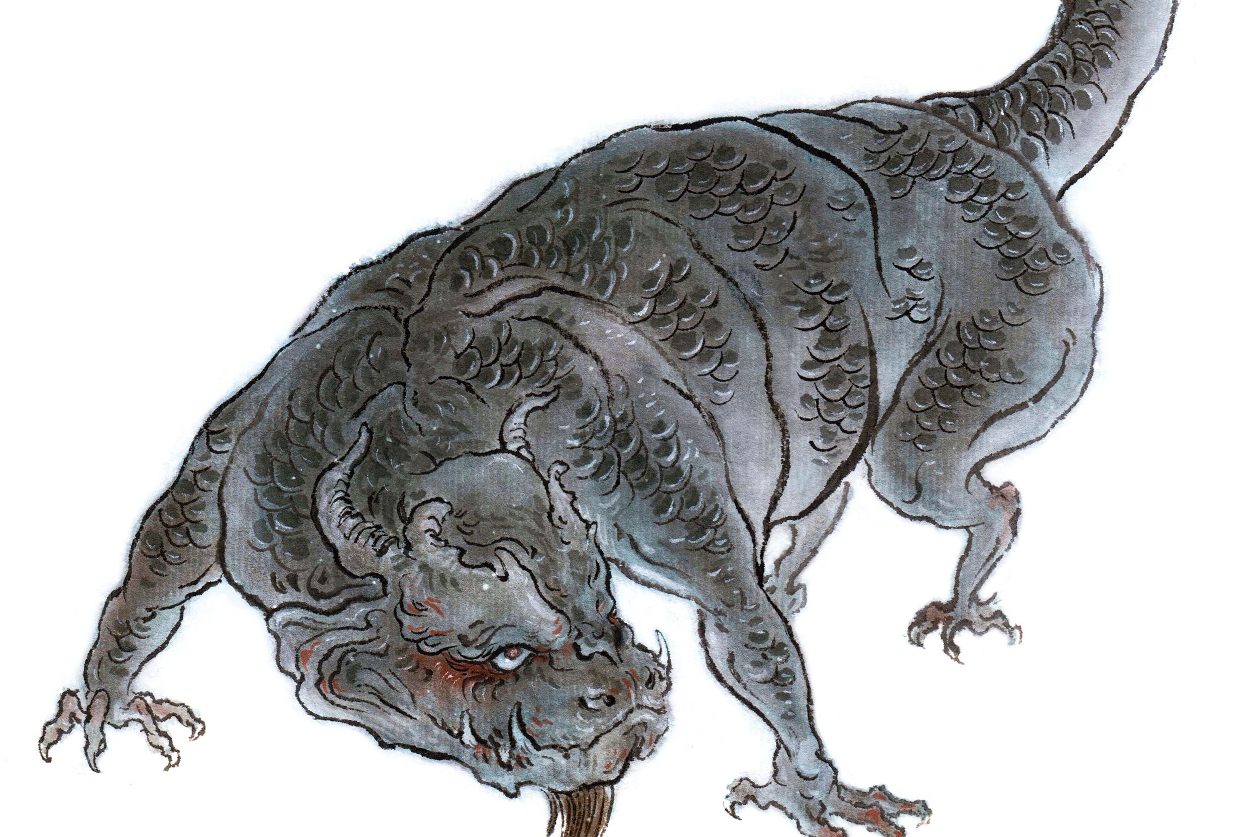  /p> p>据《山海经》记载,龙鱼状如狸. /p>