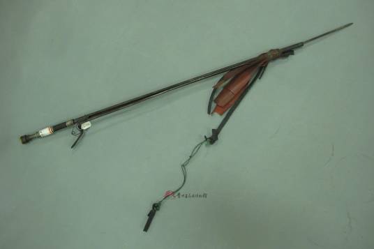 当代从江射鱼枪_百度百科