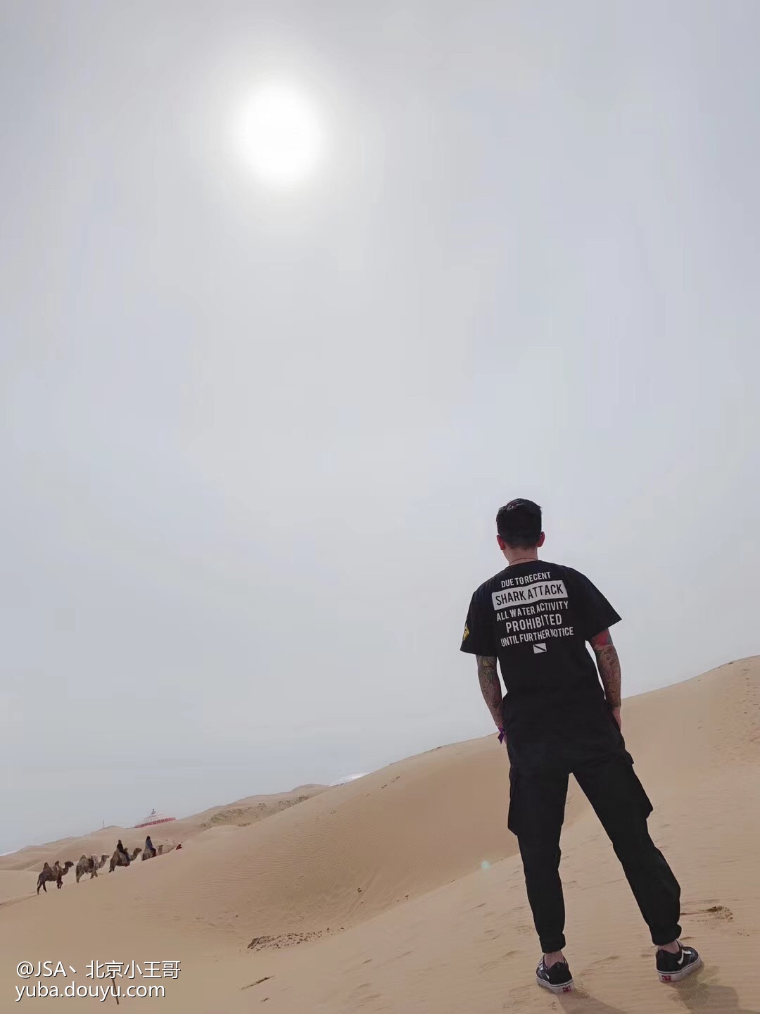  p>jsa丶北京小王哥,别名北京小王哥,北京人,斗鱼tv户外男主播. /p>