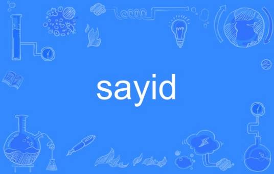 sayid_百度百科