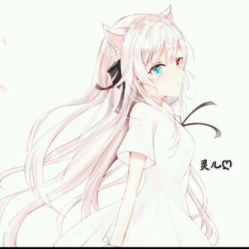 我家有个萌猫娘