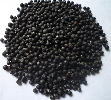  p>佛罗里达是芦笋种子,是绿白兼用芦笋品种,适宜速冻,加工出口及保鲜