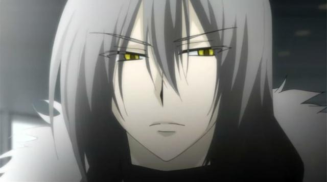 夜之王 全网资源