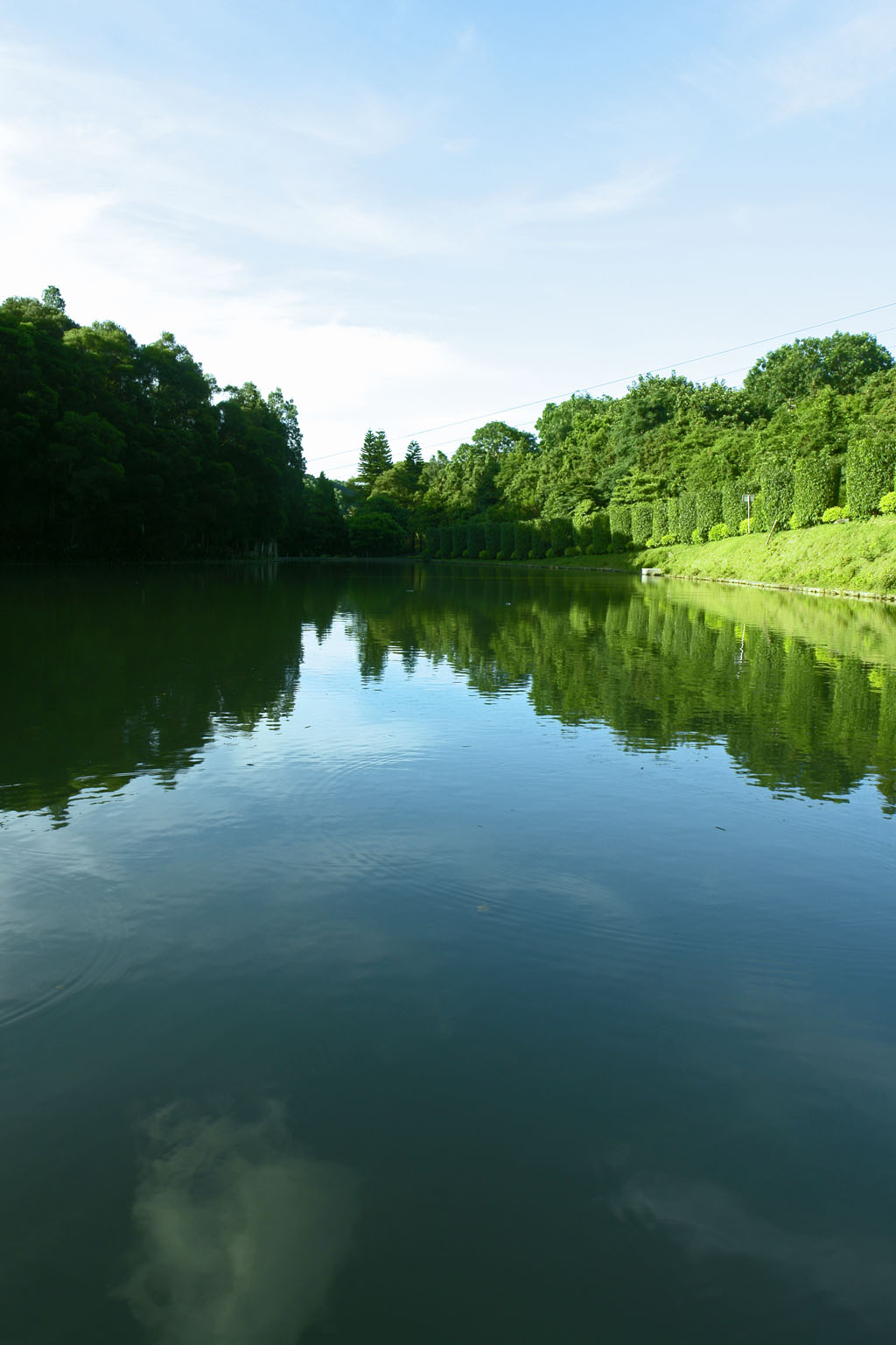 深圳市仙湖植物园