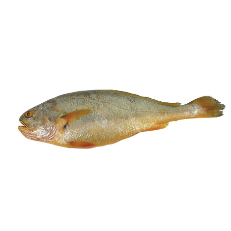 黄鱼