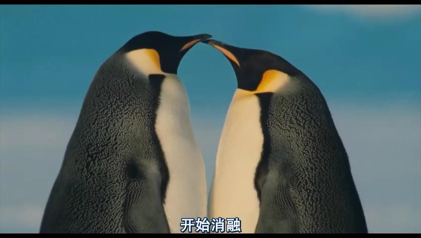  p>《帝企鹅日记》是由吕克·雅克执导的一部生态纪录片,于2005年1月