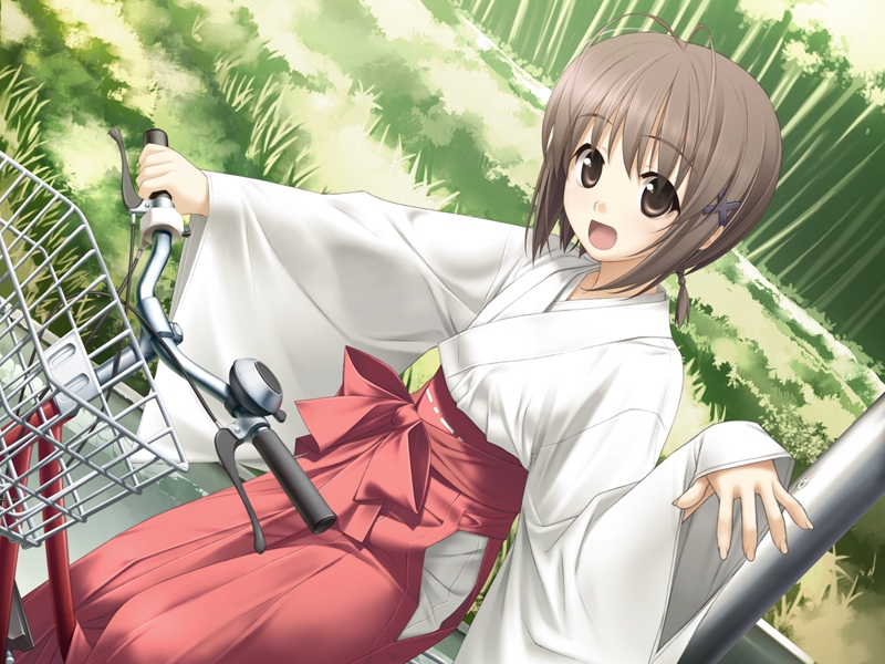  p>天女目瑛,《 a target="_blank" href="/item/缘之空/63186" data