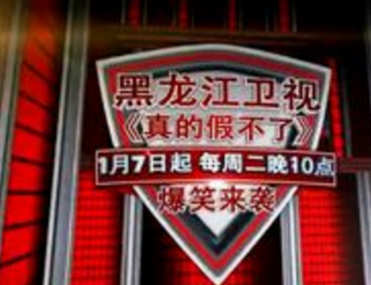 真的假不了（原创类综艺节目）_百度百科