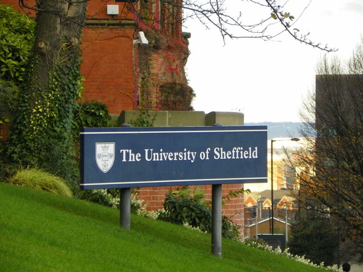 the university of sheffield