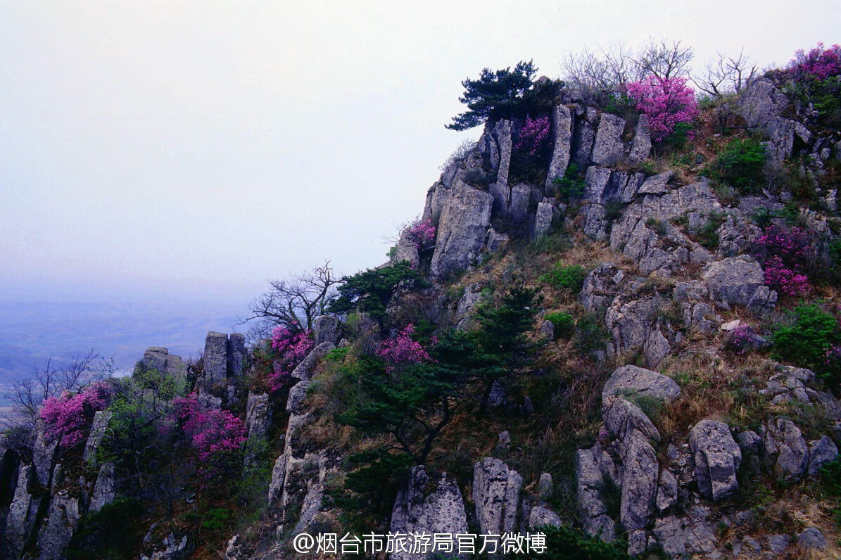 牙山森林公园