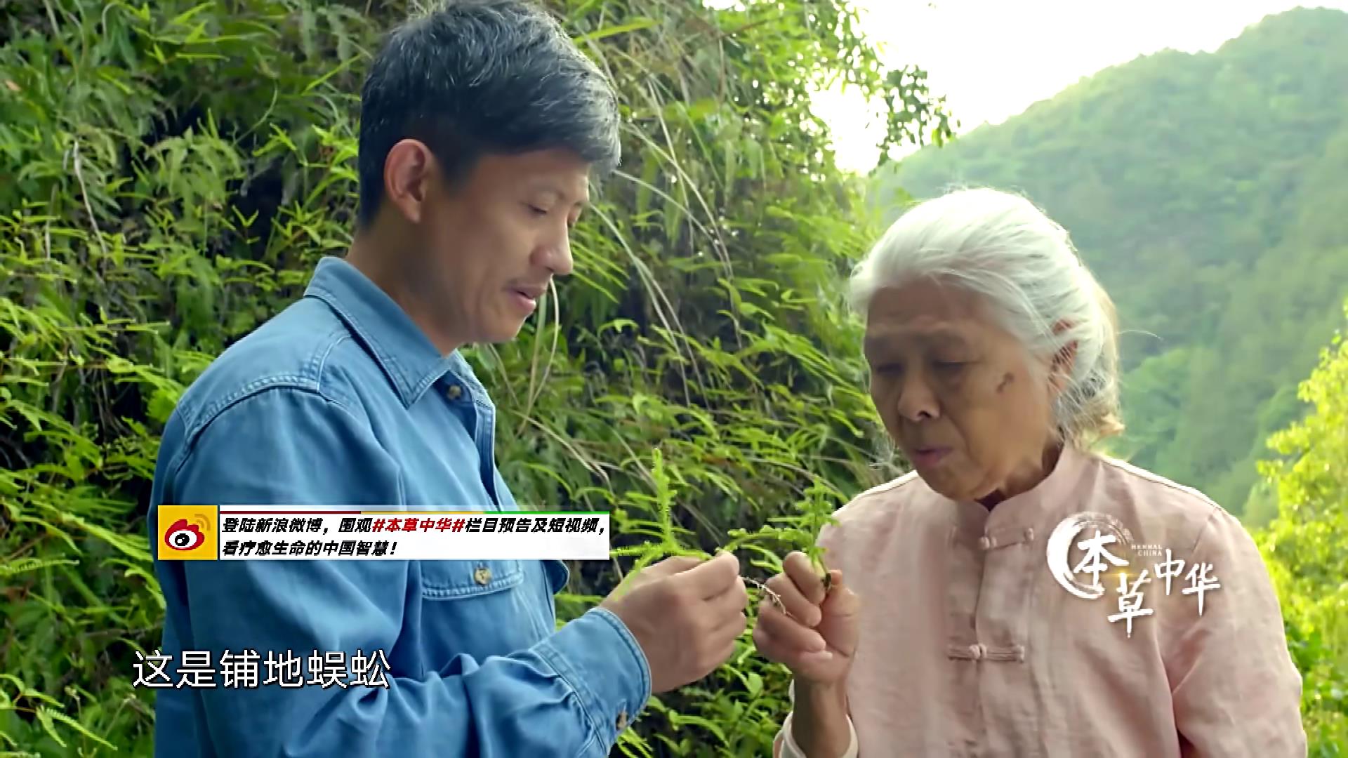 本草中华第一季