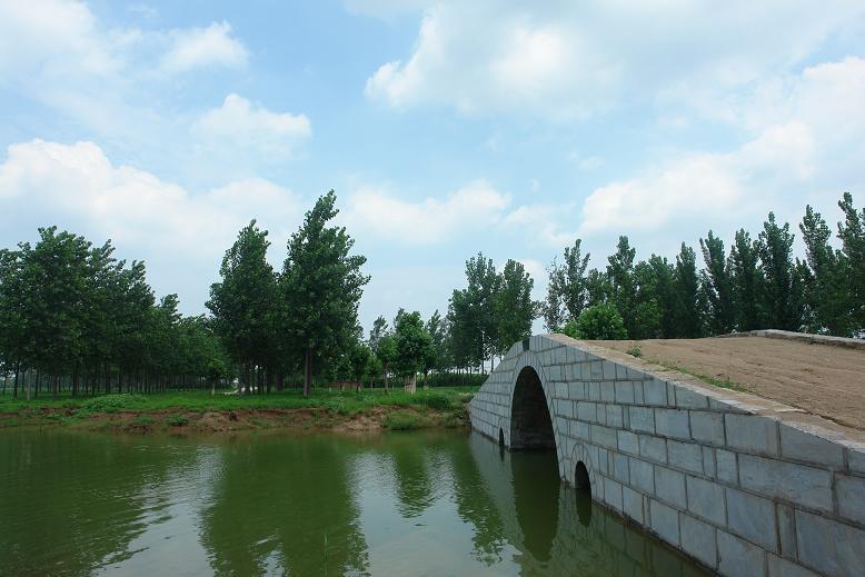 济南市黄河森林公园