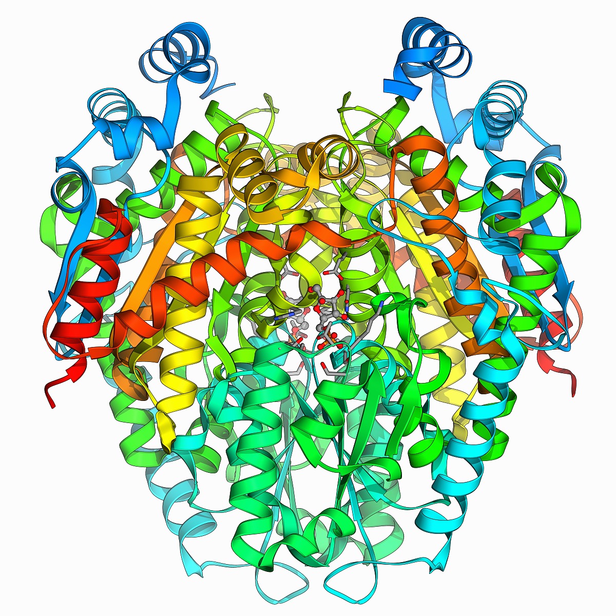phosphatase