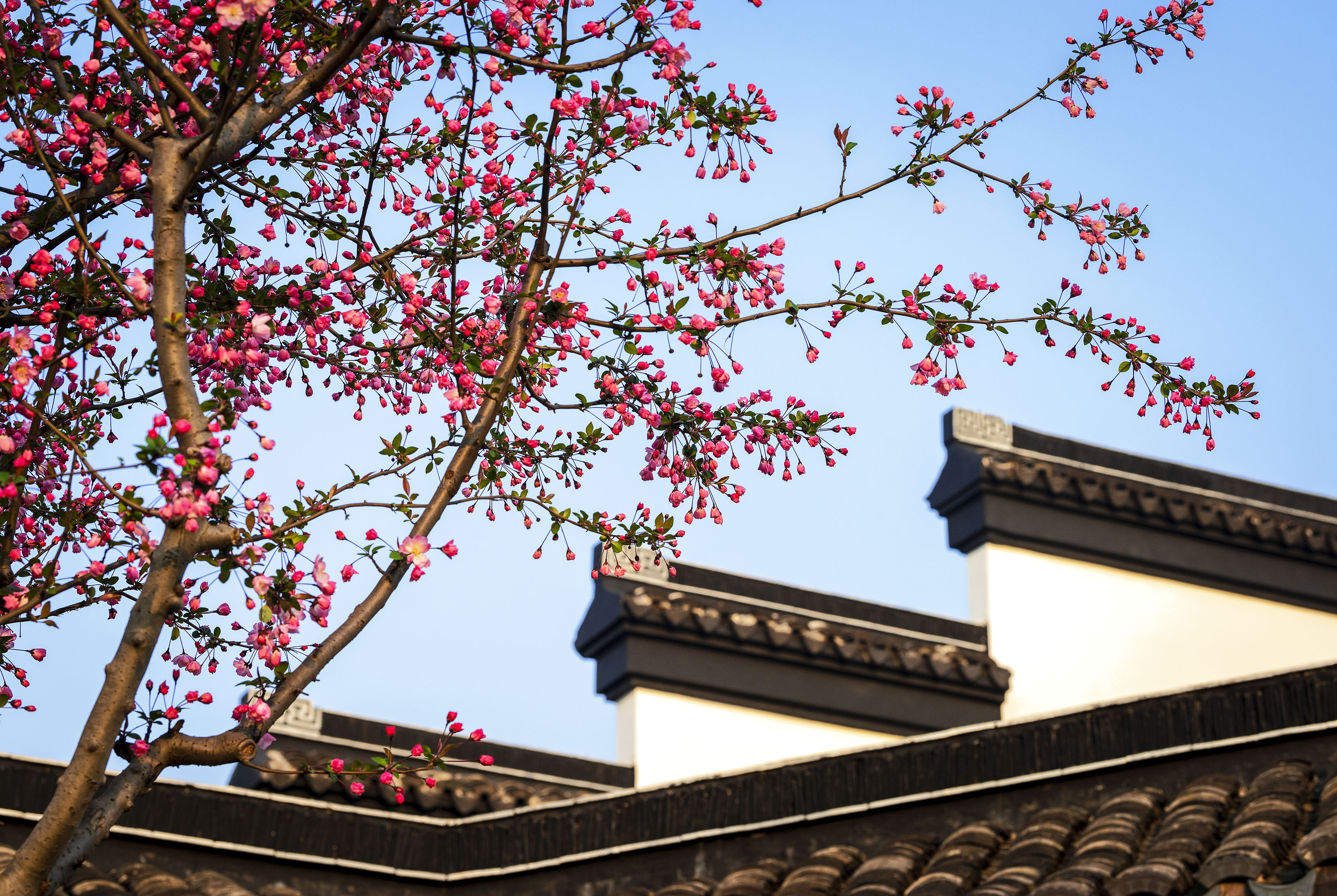 生命健康产业园区(薛家镇)坐落于常州国家高新技术产业开发区中部区域