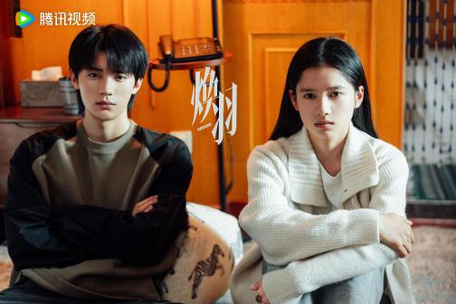 焕羽（2025年张婧仪、周翊然领衔主演的电视剧）_百度百科