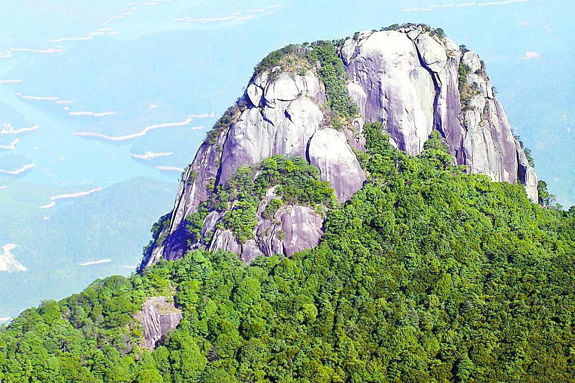 永定王寿山国家森林公园