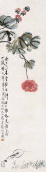 芙蓉草虾