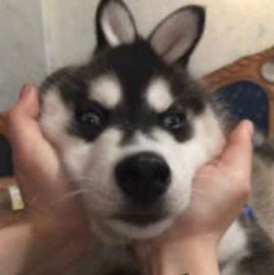 三十六贱笑_百度百科
