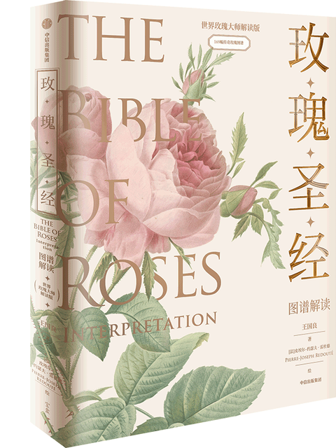 玫瑰圣经:图谱解读