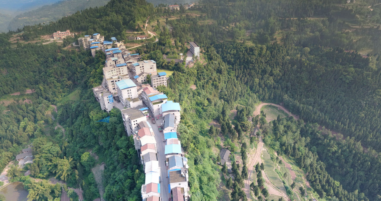 data-lemmaid="212569">四川 /a>省南充市营山县,地处 a target="