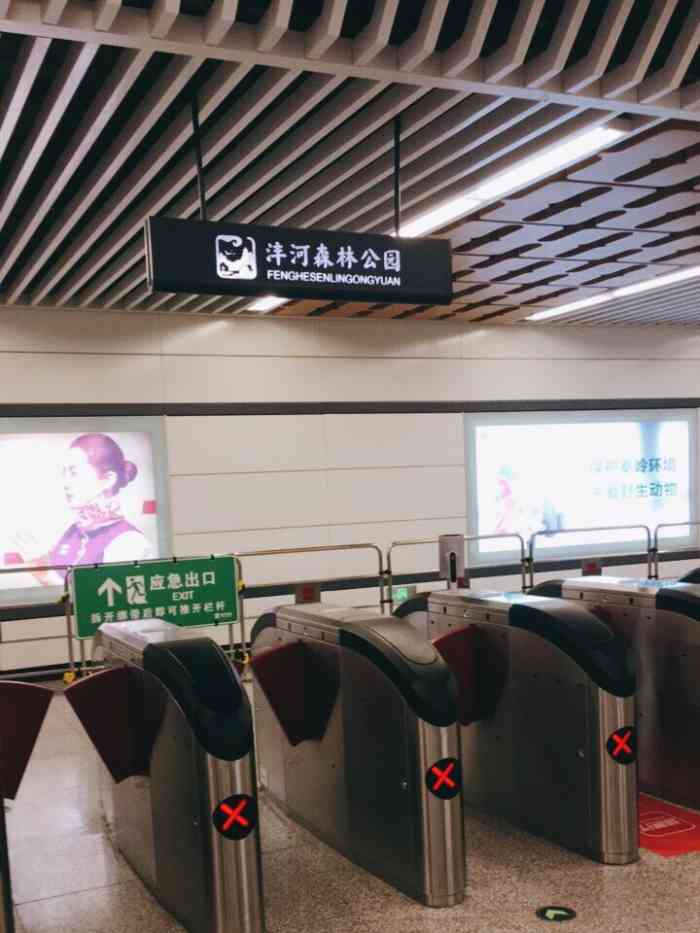 沣河森林公园站