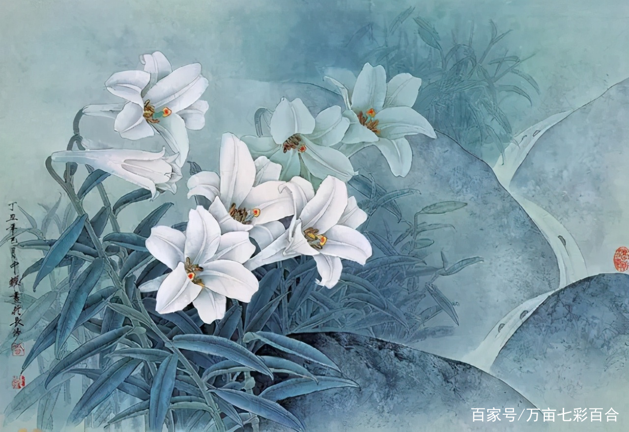 那些 长 在纸上的工笔百合花 竟然如此清新脱俗 百科ta说
