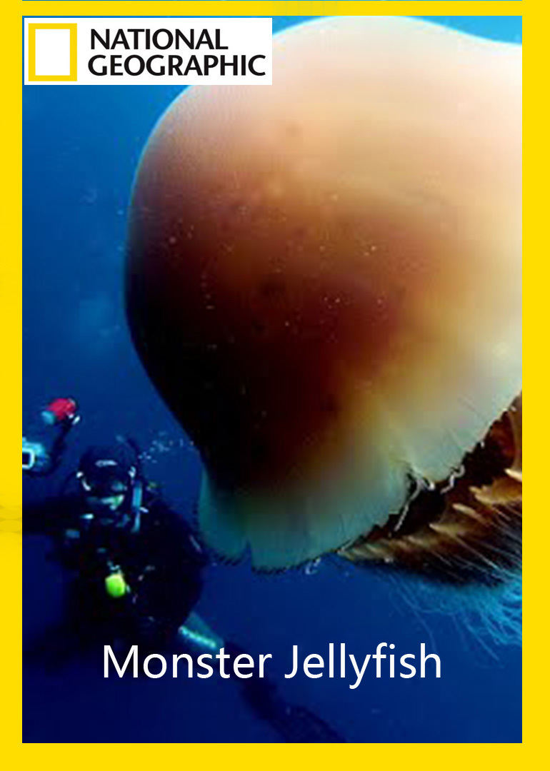  p>《水母怪》是一部纪录片,共3集,播放平台为腾讯视频. /p>