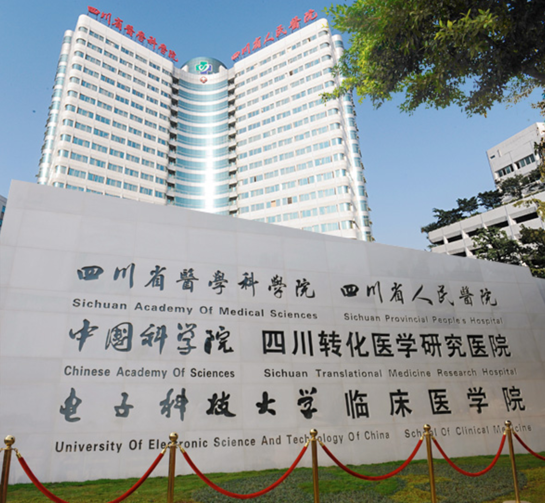 关于中国医学科学院整形外科医院代挂专家号加代问诊院内各项流程代办，省去所有繁琐事的信息