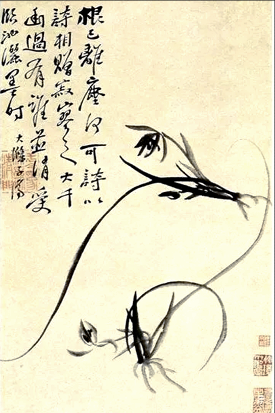 王者之香｜名家笔下的兰花！_百科TA说