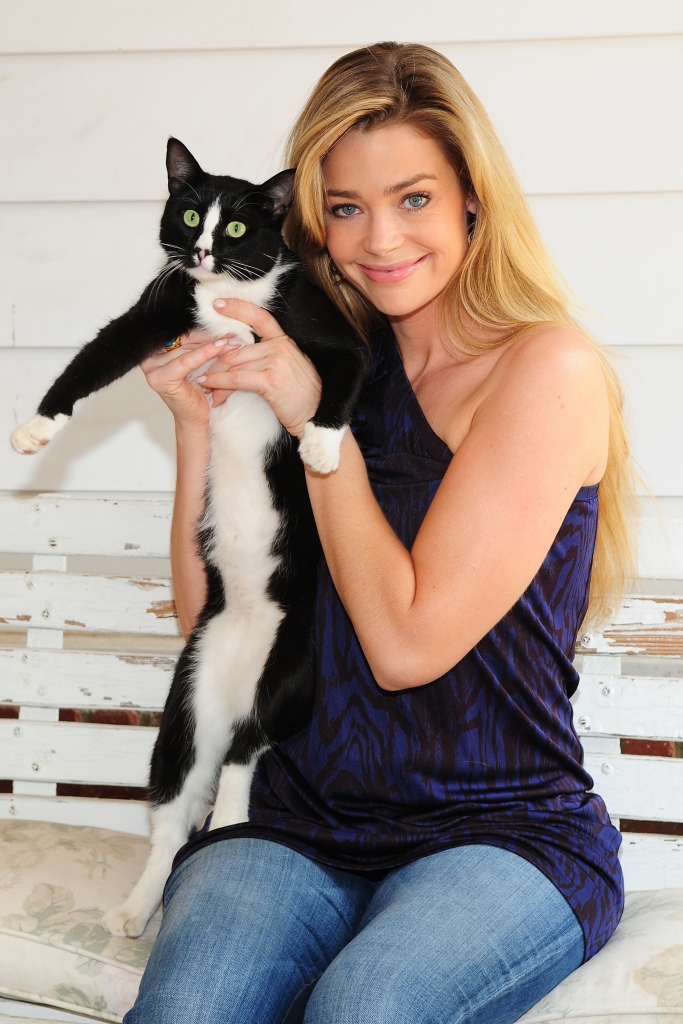 丹妮丝·理查兹