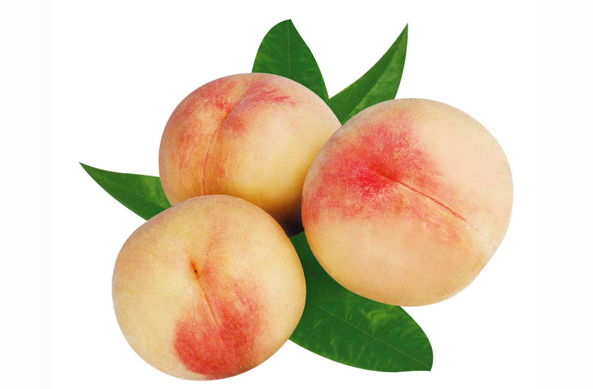 p>桃属(学名: i>amygdalus l. /i>)是蔷薇科下一个属;枝无刺或有刺.