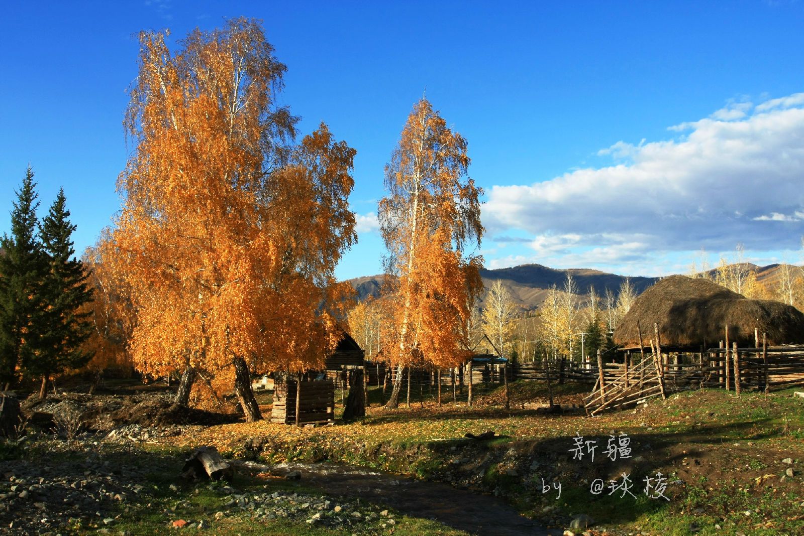  p>白哈巴村(白哈巴景区)被称为西北第一村和西北第一哨,位于新疆 a