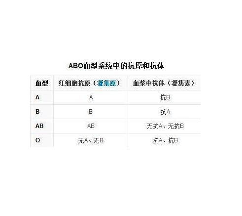 abo血型抗体