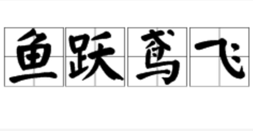 鱼跃鸢飞